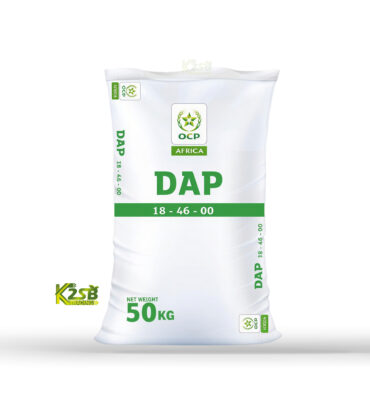 DAP 18 46 00